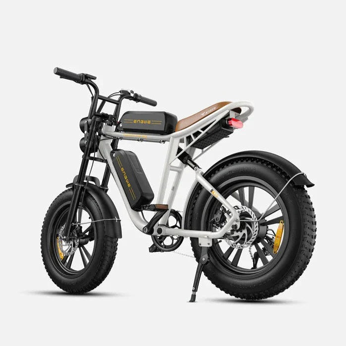 ENGWE M20 Electric Motorcycle 48V/26Ah (Double Battery) 750W 20*4.0inch fat tires Go off-road electric Bike  electric mountain bicycle, Max Speed: 28MPH